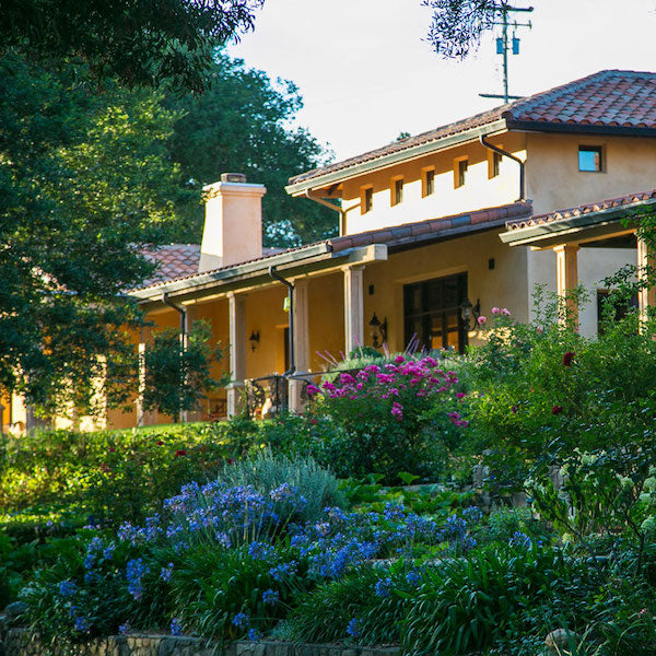 Trinite Estate - Maison