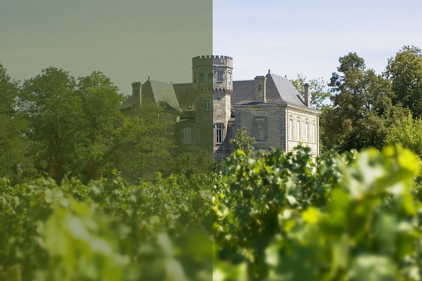 Les vins du Château La Gurgue